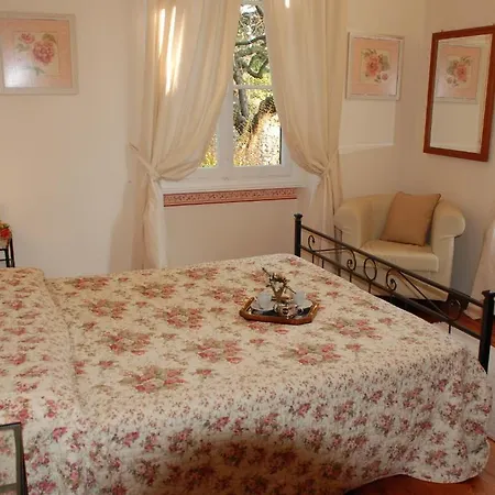 Apartment Casa Olimpia